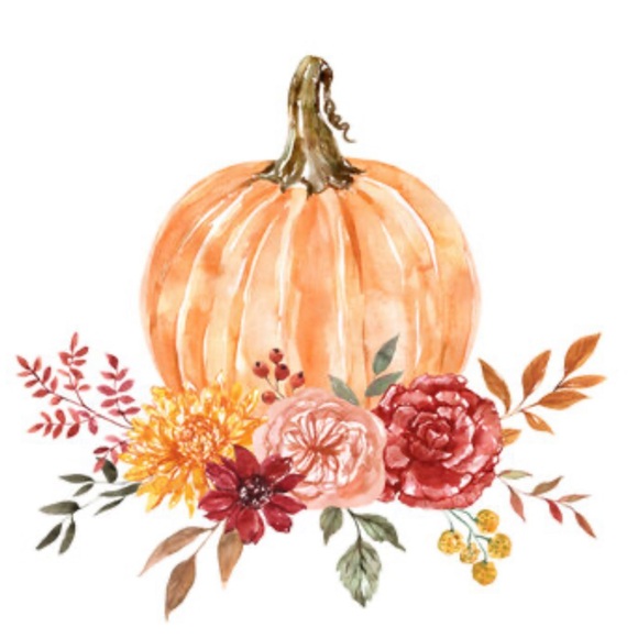 Threedogeggs $5-10 Unlisted Clearout ❤️🍁🎉 - Picture 3 of 16